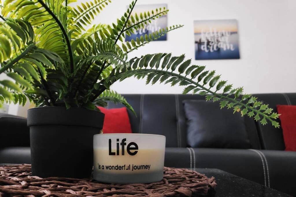 Apartament Iris